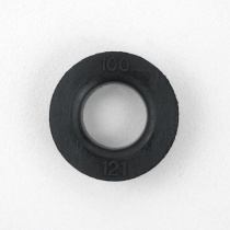 WS1 DLFC 100