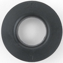 WS1 DLFC 250