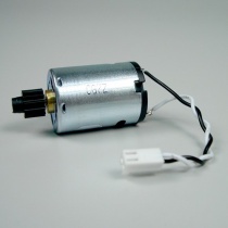 WS1 Motor